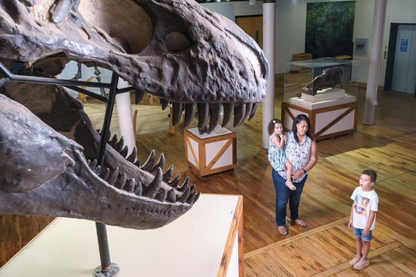 A mother holding a child looks at her son standing close by as he looks up in awe at a T-Rex skull at the South Carolina State Museum.