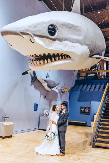 Bride and groom pose under Finn the Megalodon at the South Carolina State Museum