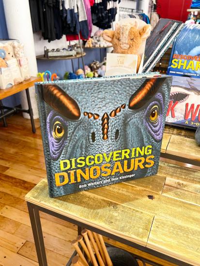 Book With Close Up Dinosaur face on the cover with a title in yellow that read Discovering Dinosaurs
