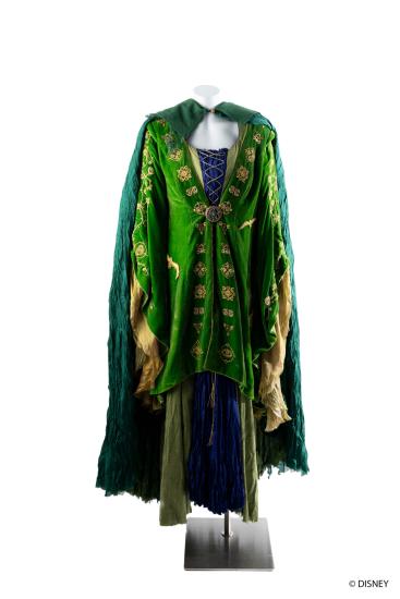 Mannequin on a white background wearing a loose and flowy green velvet dress with gold embroidered detailing and a green cape.