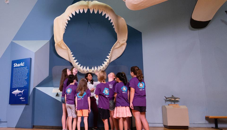 A group of field trip students in purple shirts stand underneath Finn the Megalodon