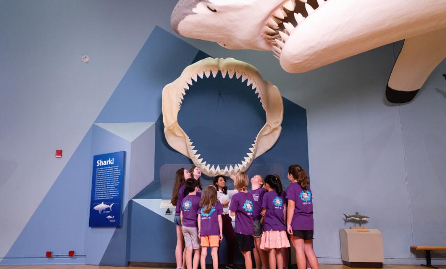 Group of students in purple shirts stand with adult educator with giant shark jaw mounted on wall behind them.